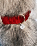Runic Pet Protection Tag